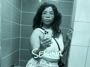 Sebina