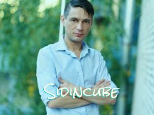 Sid_incube