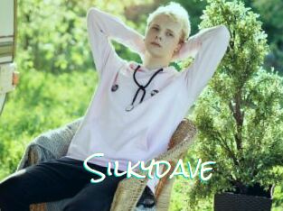 Silkydave