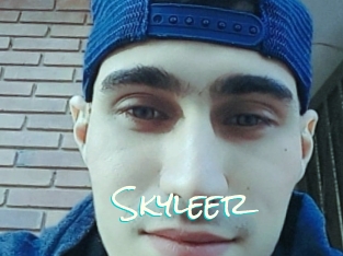 Skyleer