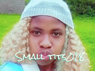 Small_tits018