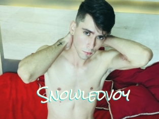 Snowledvoy
