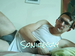 Sonicegay