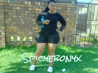 Spicyebonyx