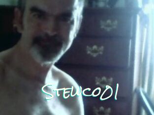 Stewco01