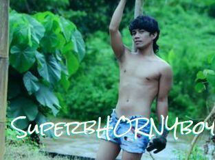SuperbHORNYboy