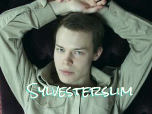 Sylvesterslim