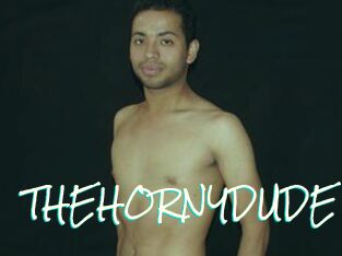 THEHORNYDUDE