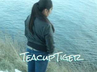 TeacupTiger