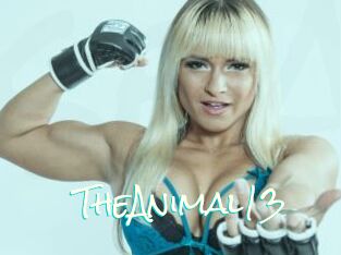 TheAnimal13