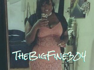 TheBigFine304