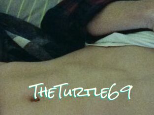 TheTurtle69