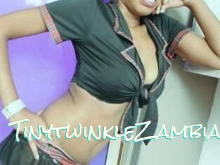 TinytwinkleZambia