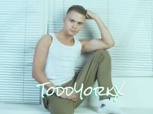 ToddYorkX