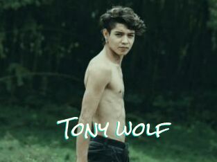 Tony_wolf
