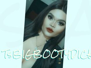 TsBIGBOOTYDICK