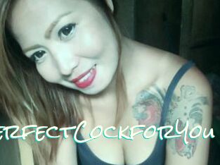 TsPerfectCockforYou