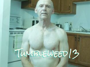 Tumbleweed13