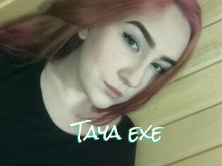Taya_exe
