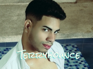 Terrybounce
