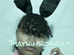 Thatbimbobunny