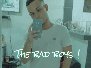 The_bad_boys_1