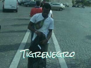 Tigrenegro