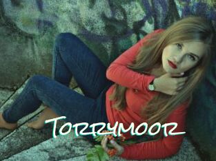 Torrymoor