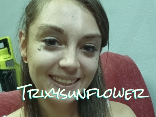 Trixysunflower