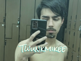 Twunkmikee