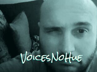VoicesNoHue