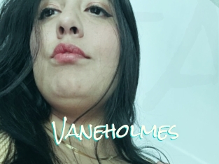 Vaneholmes