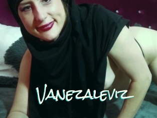 Vanezaleviz