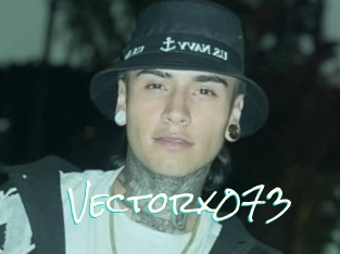 Vectorx073
