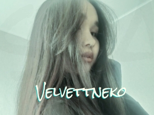 Velvettneko