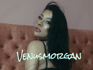 Venusmorgan