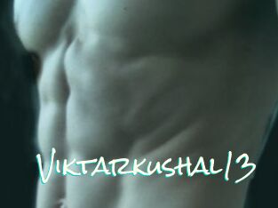 Viktarkushal13