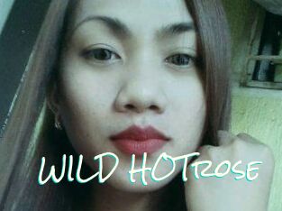WILD_HOTrose