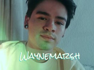 Waynemarsh