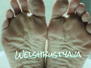 Welshbustyava