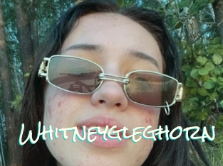 Whitneygleghorn