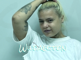 Wildaecton