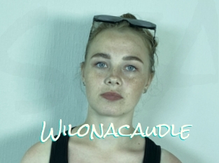 Wilonacaudle