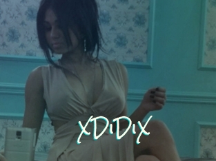 XDiDiX
