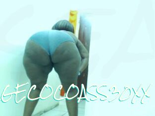 XHUGECOCOASS30XX