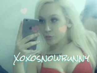 Xoxosnowbunny