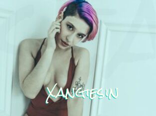 Xangiesin