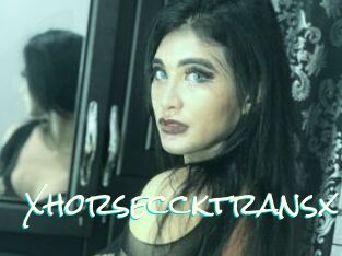 Xhorseccktransx