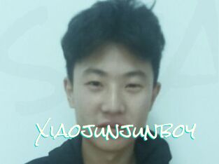 Xiaojunjunboy