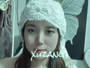 Xuzang